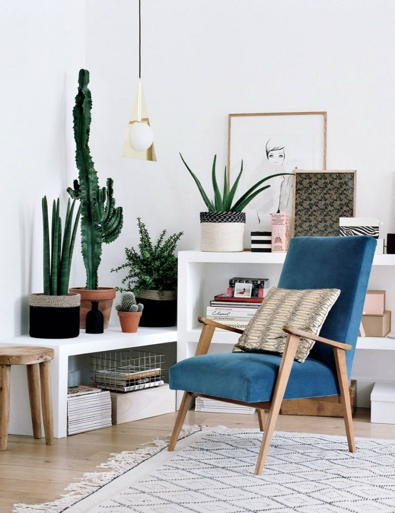 10 happy room ideas with plants