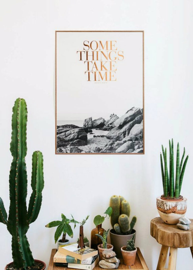 10 happy room ideas with plants