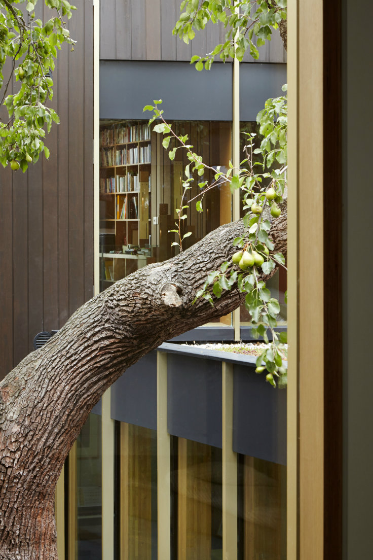 Take a Look at this Family Home designed around an pear tree