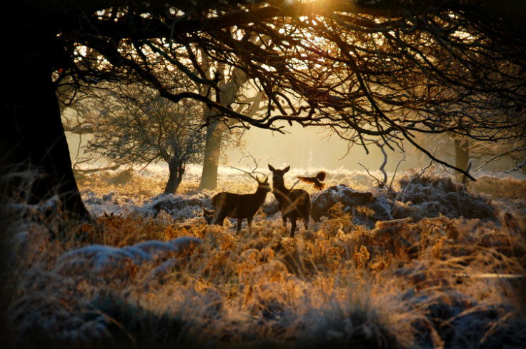 unique things in the world: 10 beautifull places to visit this winter