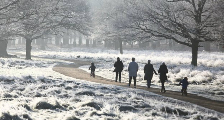richmond-park-2 unique things in the world: 10 beautifull places to visit this winter