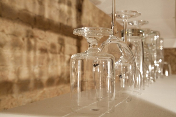 Find out the 10 best designers in Austria!