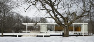 Fall-in-Love-with-Mies-Van-der