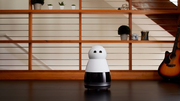 The Home Robot with a Unique Personality