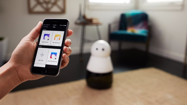 The Home Robot with a Unique Personality
