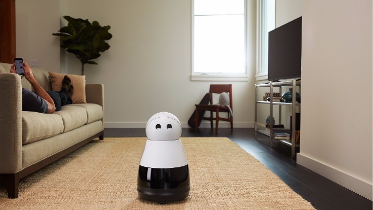 The Home Robot with a Unique Personality