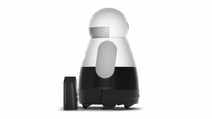 The Home Robot with a Unique Personality