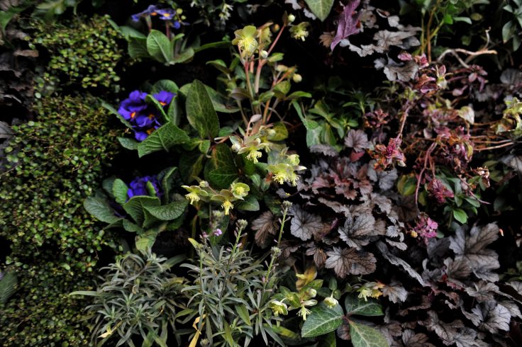The return of London's Surface Design show