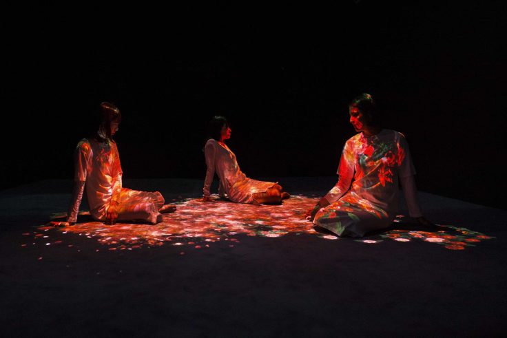 TeamLab Transcending Boundaries in London
