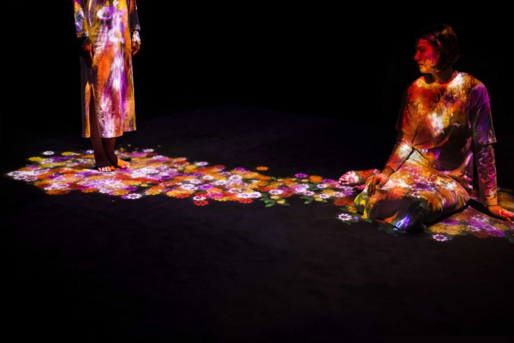 TeamLab Transcending Boundaries in London