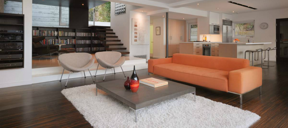 Room of the Week- Minimalist Living Room in Hollywood Hills