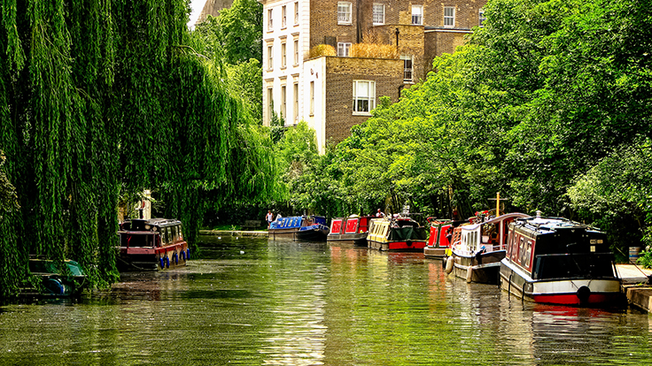 Best Places to Celebrate the Spring Season this Weekend!