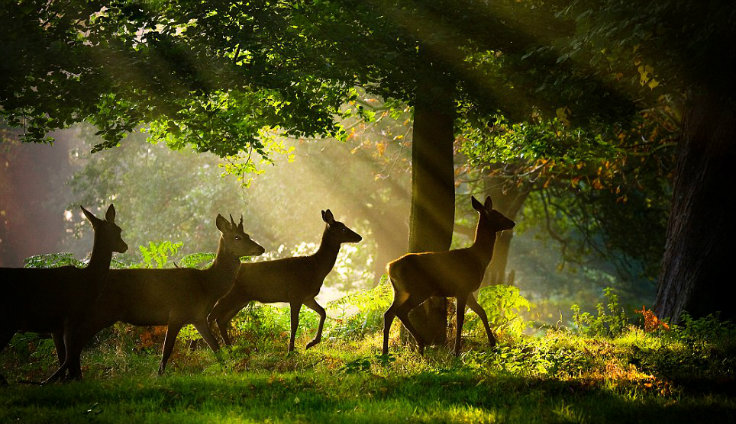 Best Places to Celebrate the Spring Season this Weekend!