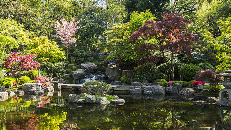 Best Places to Celebrate the Spring Season this Weekend!
