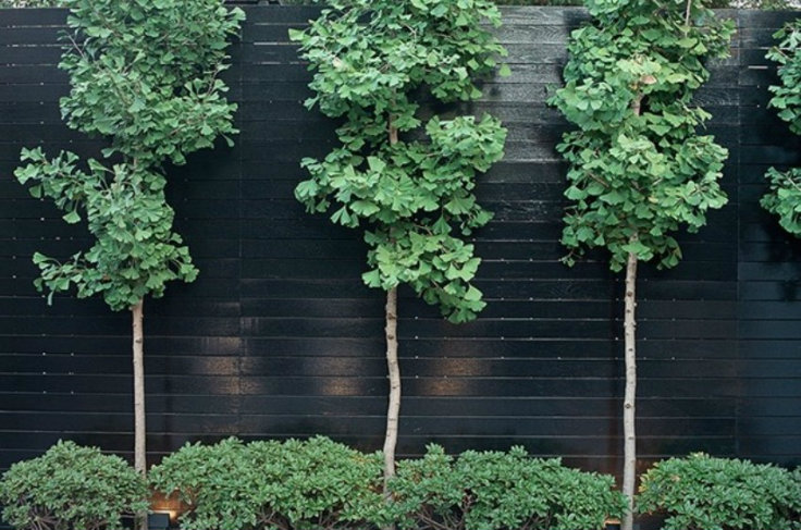 5 Tips on How to Make your Small Garden Look Bigger