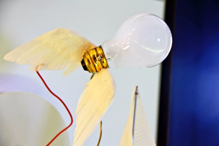 When Lighting Seems to be a Problem Luce Mania is the Answer!