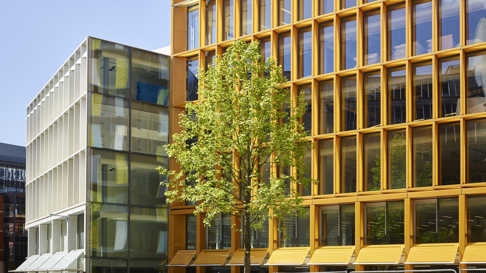 Fletcher Priest Architects A Breath of Fresh Air Into London's Heart 6