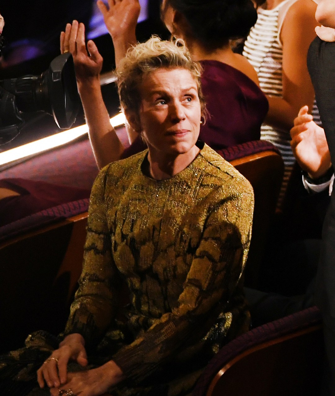 Inside The Screen The Scene Stealers of The Oscars 2018 3