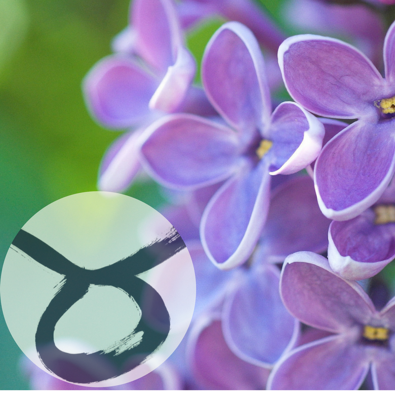 The Houseplant You're Going To Buy According To Your Zodiac Sign! 3 (1)