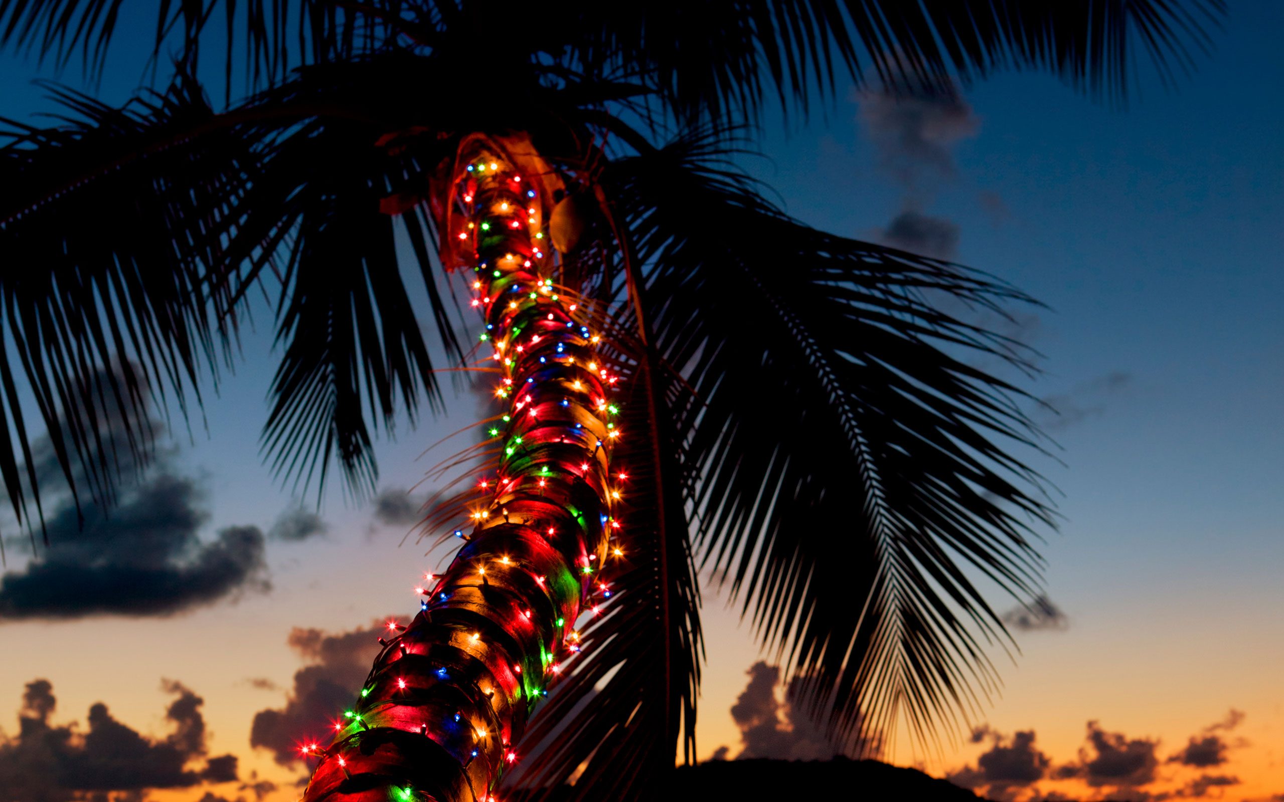 7 Christmas Traditions To Not Miss If You're Travelling This Year