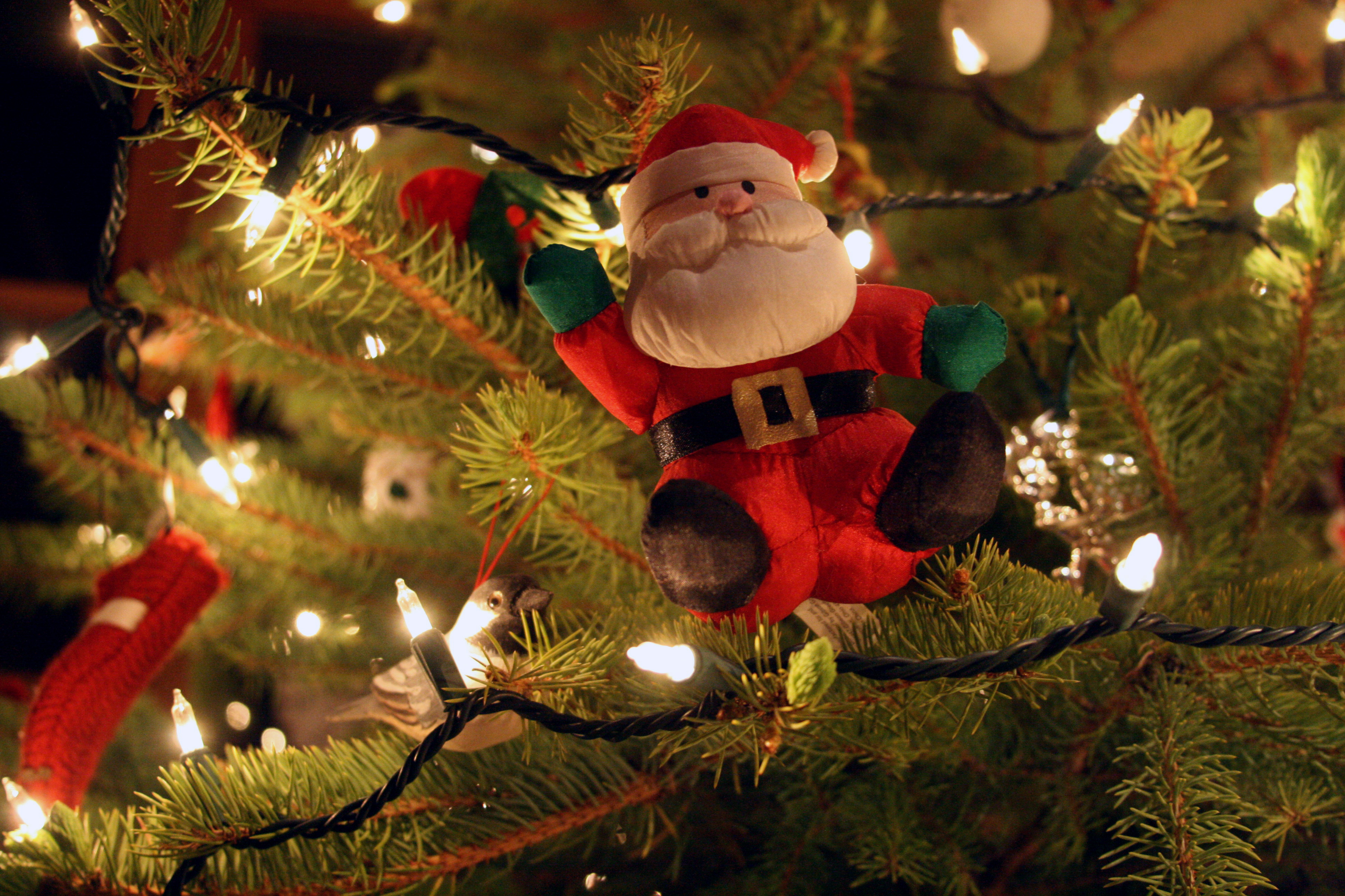 7 Christmas Traditions To Not Miss If You're Travelling This Year7 Christmas Traditions To Not Miss If You're Travelling This Year