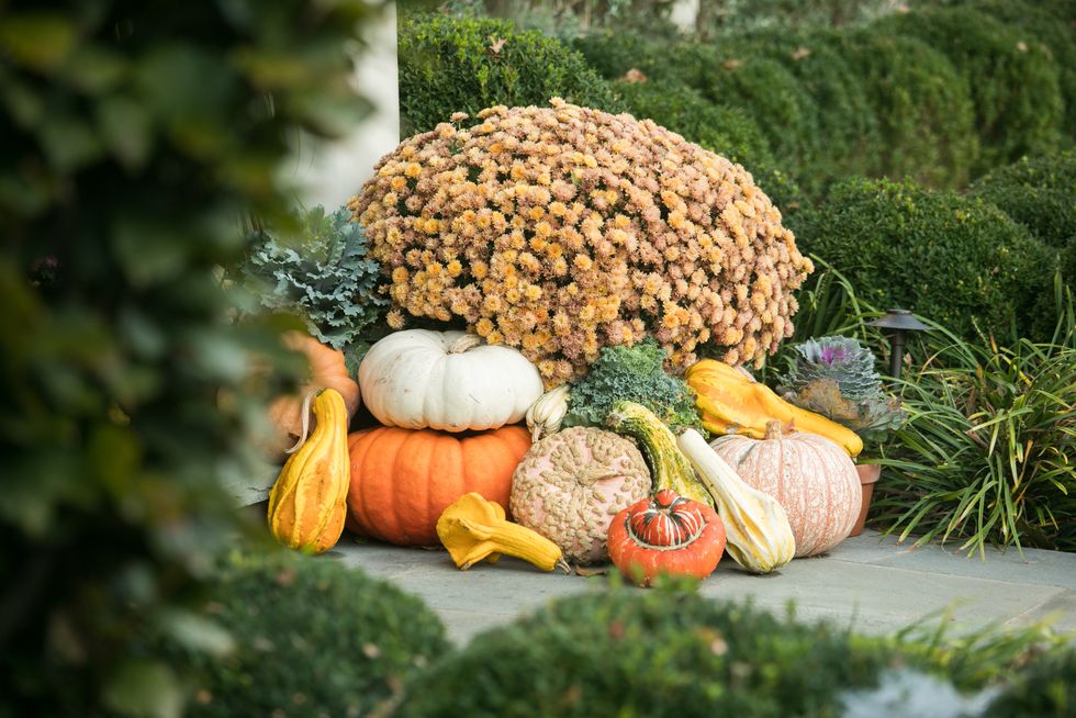 10+ Beautiful Fall Porch Decor Ideas You Will Want To Try